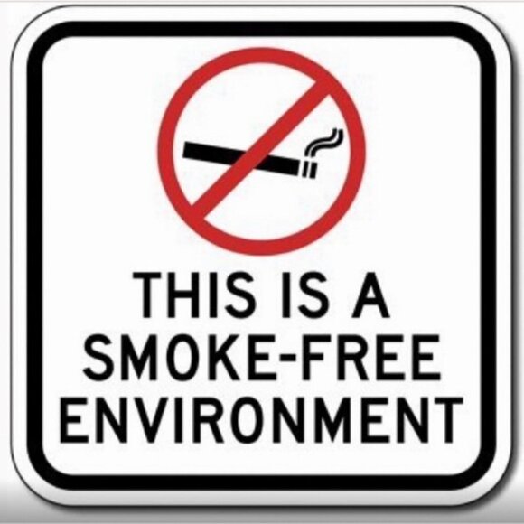 Lang Cat Coq Gift Mug with Reusable Gift Box Lemon Theme Floral Large 17 OZ - Picture 15 of 16